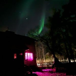 Aurora Chamber